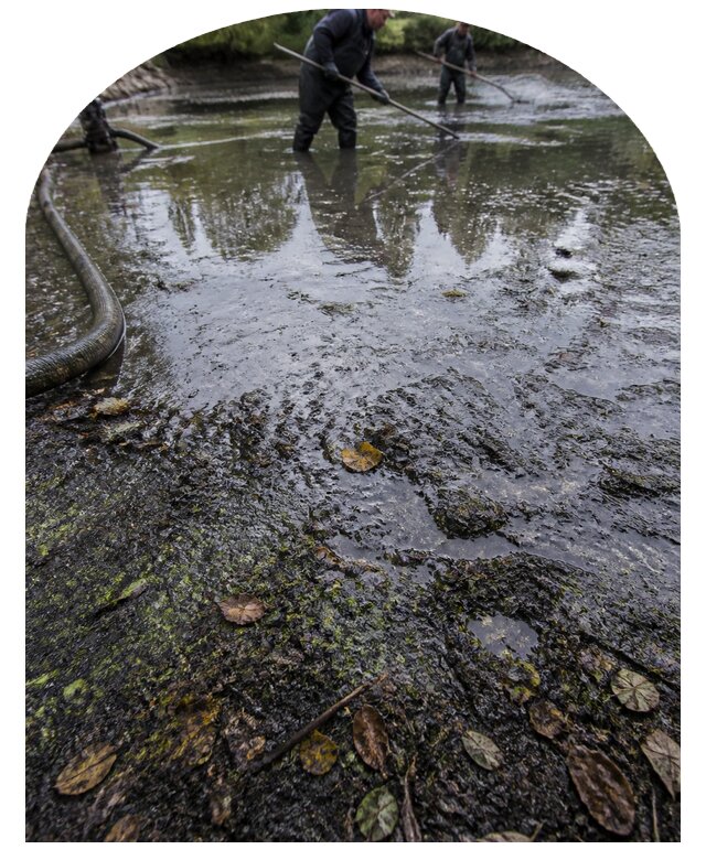 Очистка пруда в Волгограде от ила мусора и водорослей с вывозом